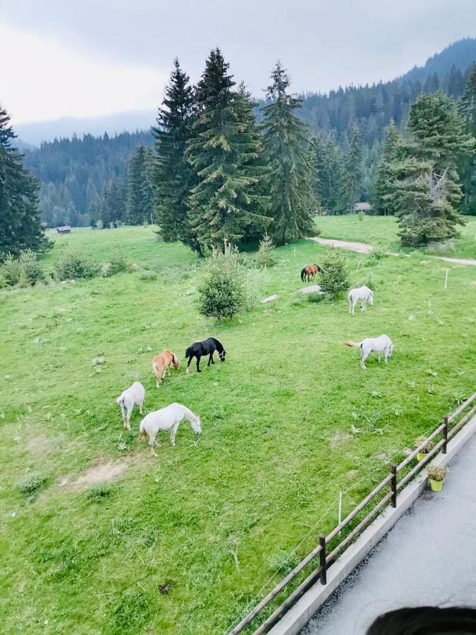 Secret Lake 533 At Oak Residence Smolyan Buitenkant foto